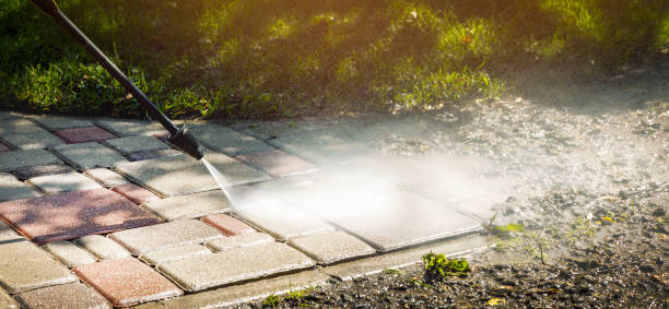 Best Soft Washing  in Dunellen, NJ