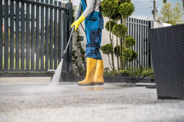 Best Fence Cleaning  in Dunellen, NJ