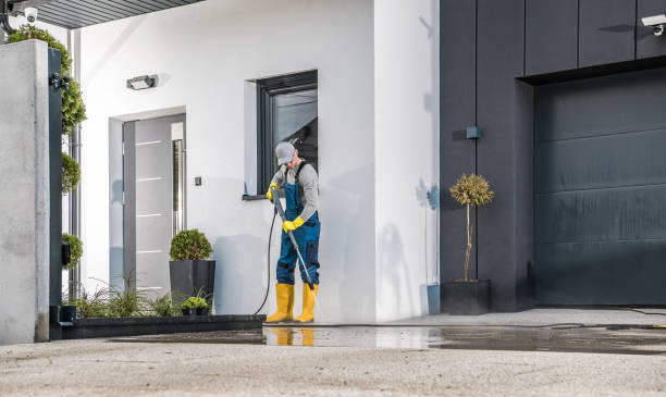 Best Animal Enclosure Cleaning  in Dunellen, NJ